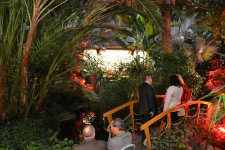 Palmiarnia miejska w Gliwicach