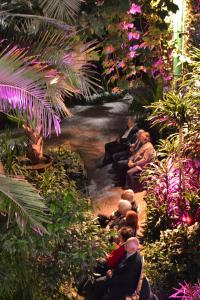 Palmiarnia miejska w Gliwicach